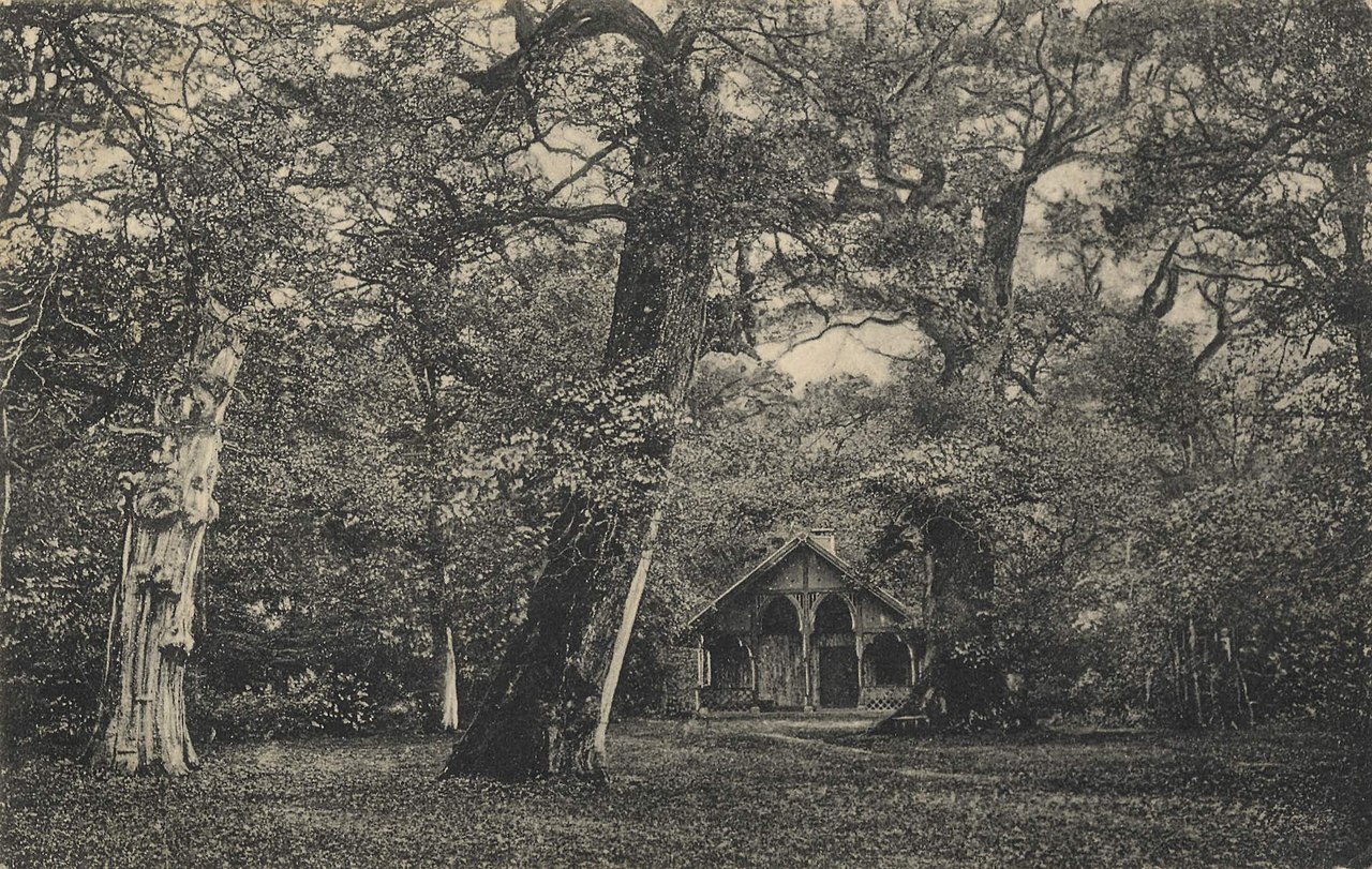 Postkarte 1911, Büttmann & Geriets Nachf., Varel, Jagdhütte im Neuenburger Urwald