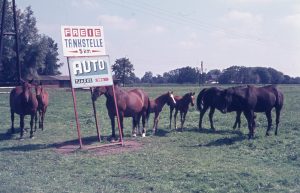 Fotografien von Heinrich Kunst, Ausstellungseröffnung
