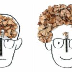 Christoph Niemann, Sunday Sketch, 2025